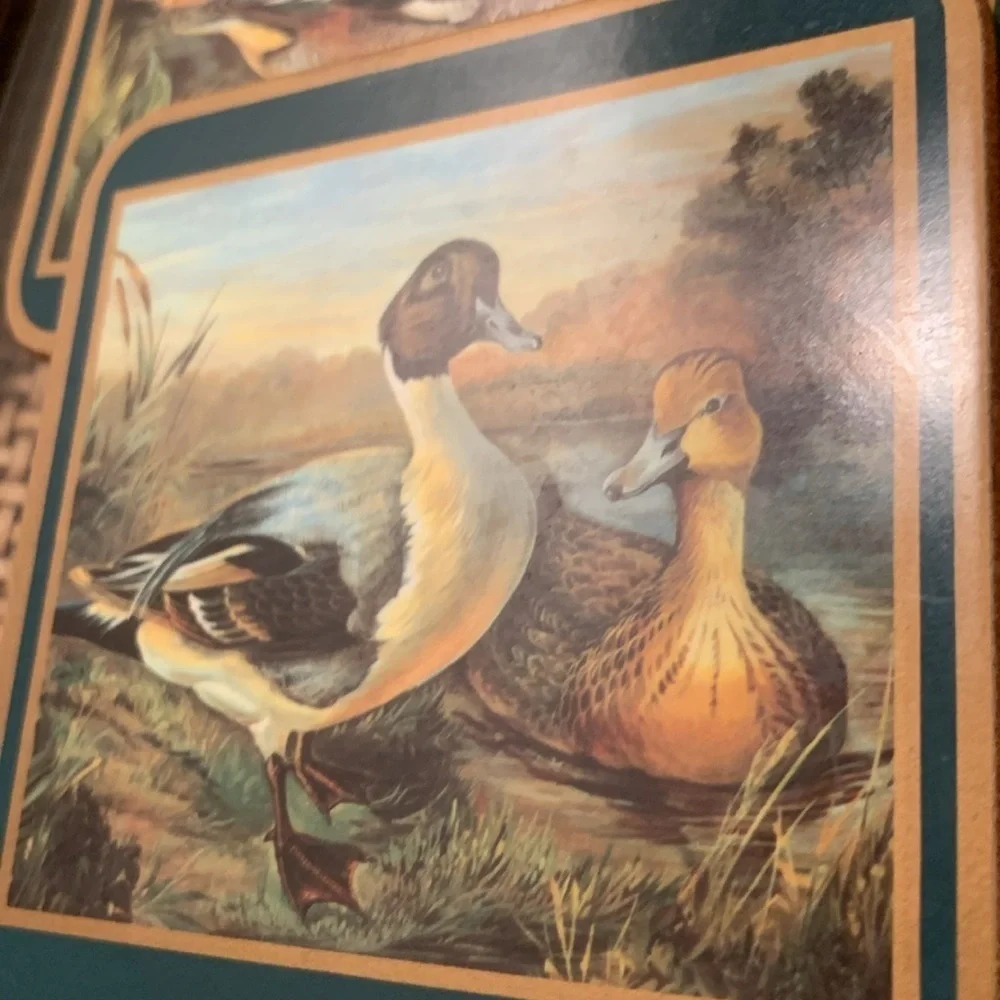 Pimpernel Duck Themed Acrylic Traditional Coasters Vintage Retro Home Decor